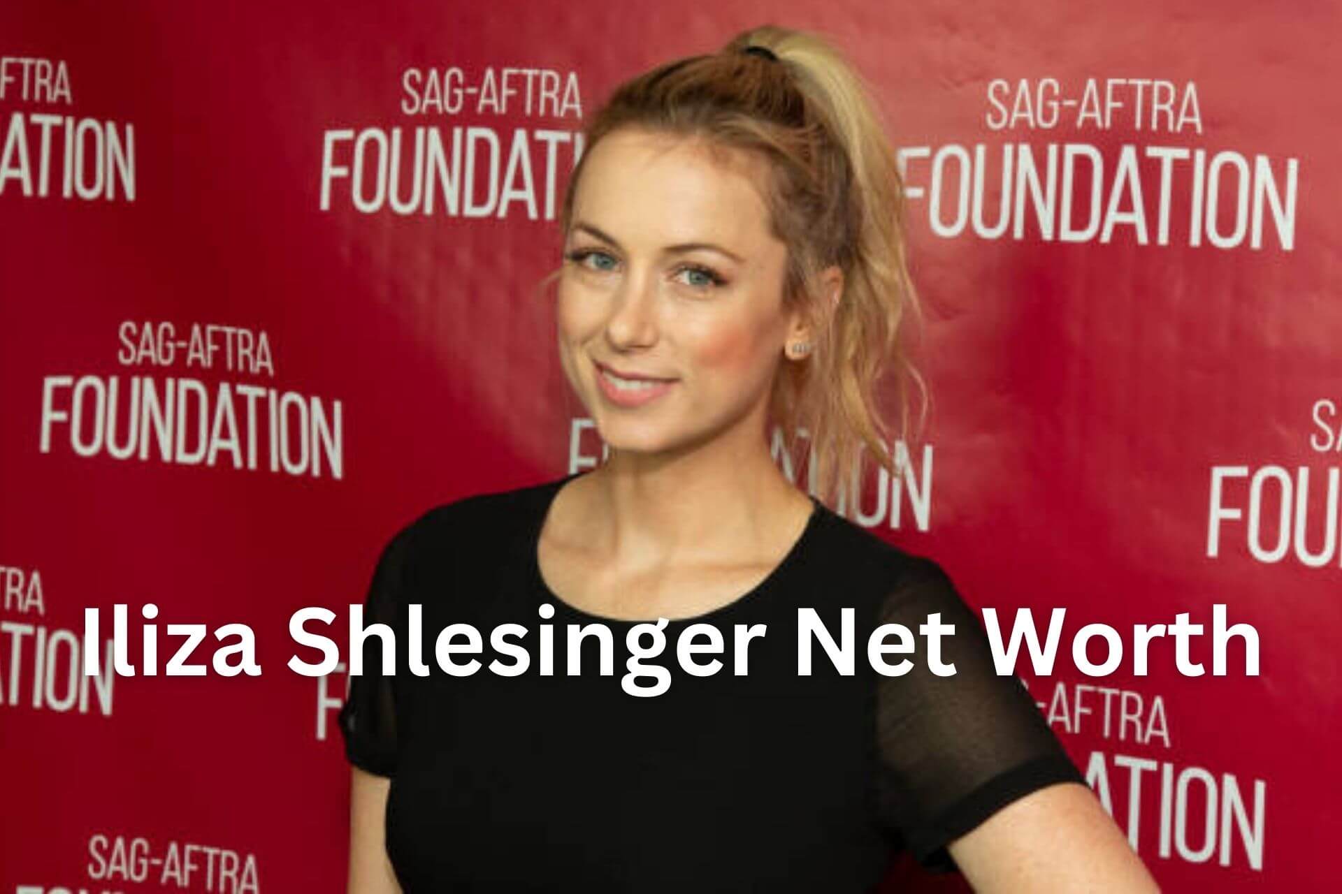 Iliza Shlesinger Net Worth